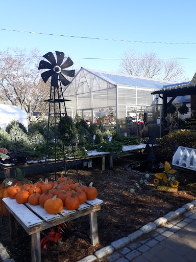 Florist «Root System», reviews and photos, 3228 Main St, Rocky Hill, CT 06067, USA