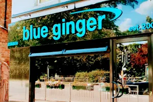 Blue Ginger Indian Takeaway Kempston (Bedford) image