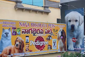 Naga bhairava Pets Mangalagiri image