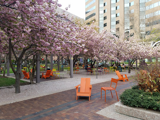 Shopping Mall «Crystal City Shops», reviews and photos, 2200 Crystal Dr, Arlington, VA 22202, USA