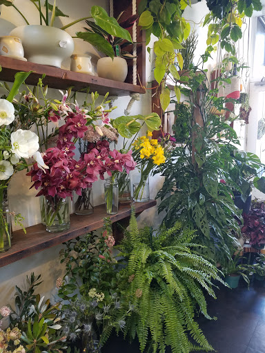 Florist «Starflower», reviews and photos, 3411 SE Belmont St, Portland, OR 97214, USA