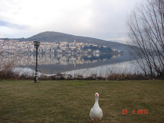 Παραλίμνιο Πάρκο Καστοριάς - Ένωση