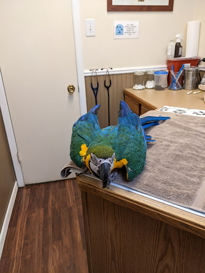 Twin Lakes Pet & Bird Clinic