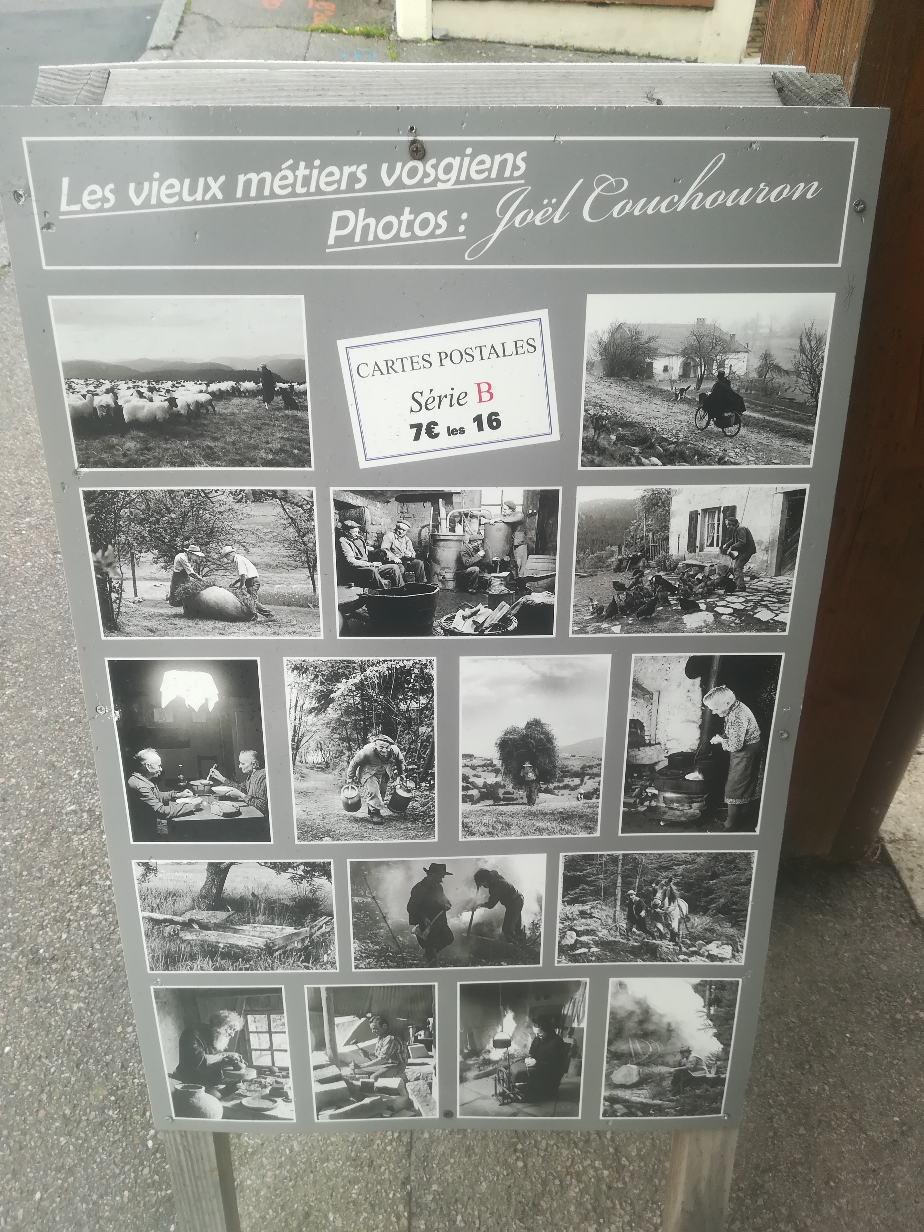 Photo n° 3 de l'avis de Gazel. fait le 01/09/2020 à 00:16