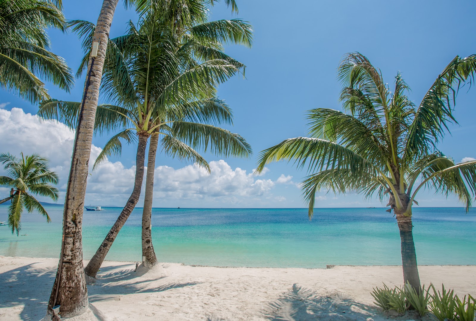 Bulabog South Beach的照片 带有长直海岸