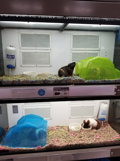 Pet Supply Store «Petco Animal Supplies», reviews and photos, 1150 Concord Ave #160, Concord, CA 94520, USA