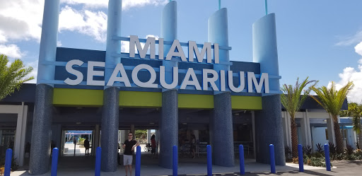 Aquarium «Dolphin Harbor», reviews and photos, 4400 Rickenbacker Causeway, Key Biscayne, FL 33149, USA