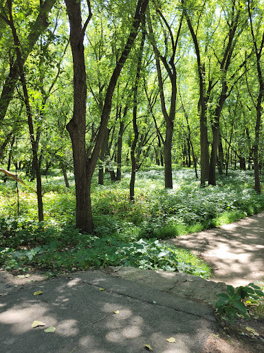 Nature Preserve «Crosby Farm Regional Park», reviews and photos, 2595 Crosby Farm Rd, St Paul, MN 55116, USA