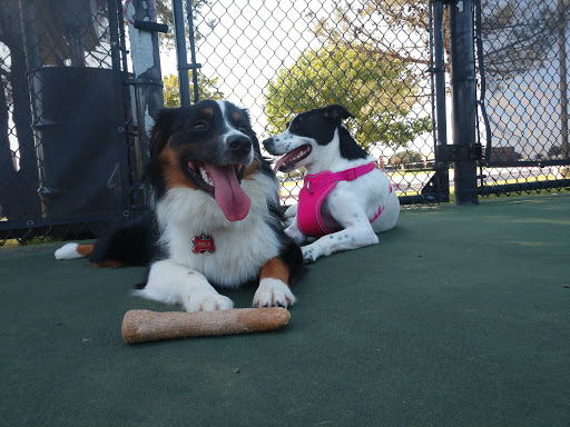 Recreation Center «Mustang Park Recreation Center», reviews and photos, 2223 Kinwest Pkwy, Irving, TX 75063, USA