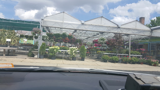 Florist «Robben Florist & Garden Center», reviews and photos, 352 Pedretti Ave, Cincinnati, OH 45238, USA