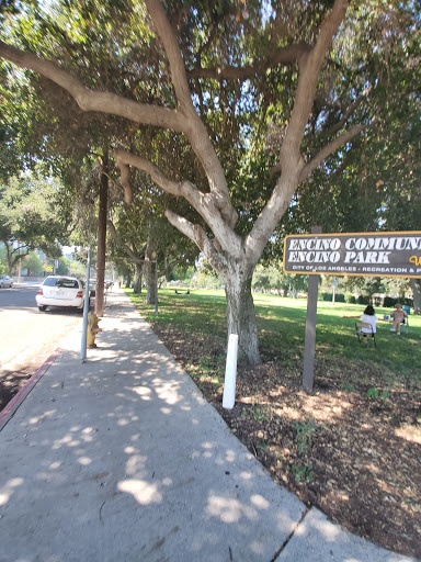 Park «Encino Park», reviews and photos, 16953 Ventura Blvd, Encino, CA 91316, USA
