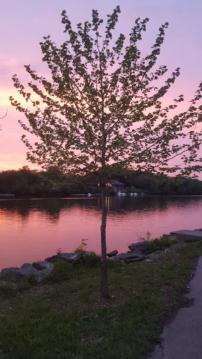 Nature Preserve «GRIGGS RESERVOIR PARK», reviews and photos, 2933 Riverside Dr, Columbus, OH 43221, USA