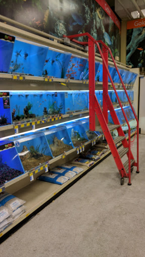 Pet Supply Store «PetSmart», reviews and photos, 3520 S El Camino Real, San Mateo, CA 94403, USA