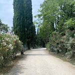 Photo n°6 de l'avis de Barbara.r fait le 03/07/2023 à 14:28 sur le  Taverna San Vigilio à Garda