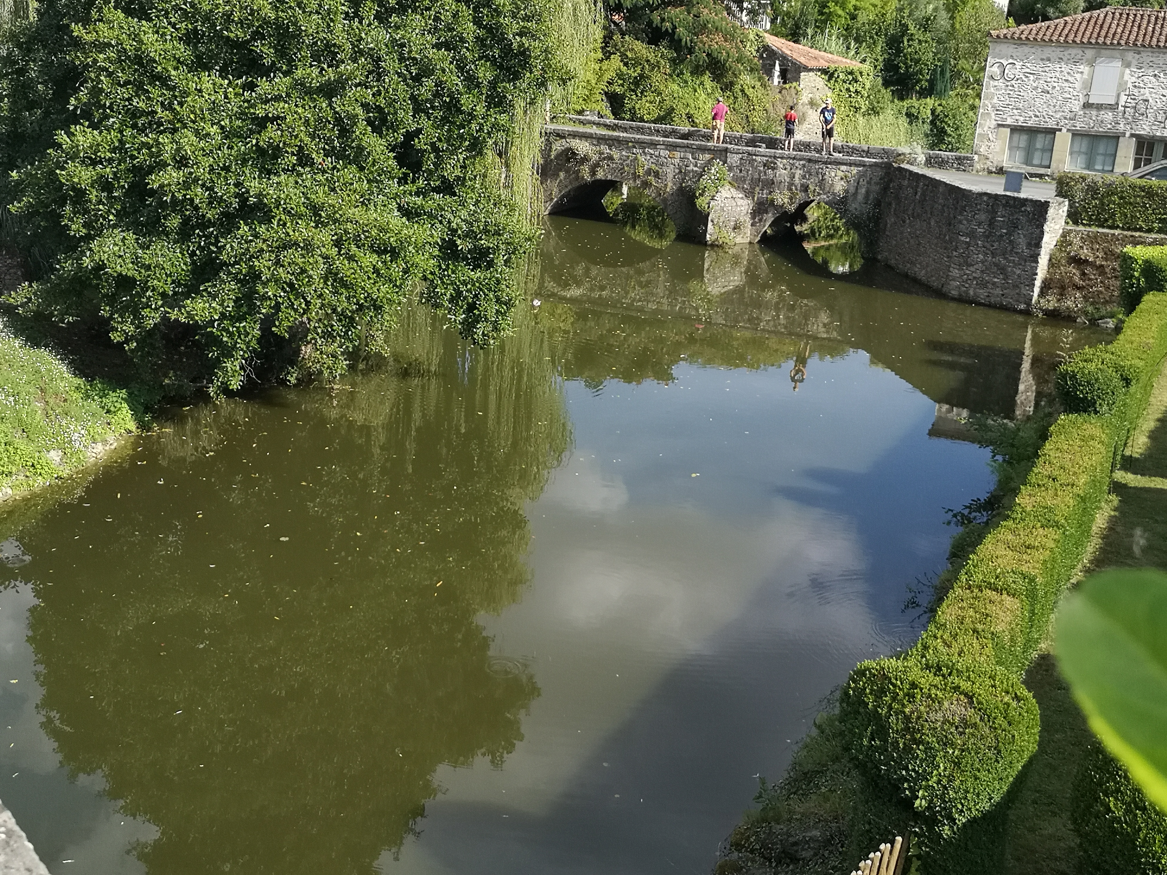 Photo n° 6 de l'avis de Michèle.u fait le 05/09/2021 à 17:13