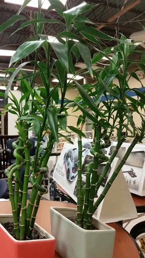 Honda Dealer «Hertrich Honda», reviews and photos, 6546 Ocean Gateway, Easton, MD 21601, USA