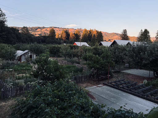 Bed & Breakfast «Apple Farm», reviews and photos, 18501 Philo Greenwood Rd, Philo, CA 95466, USA