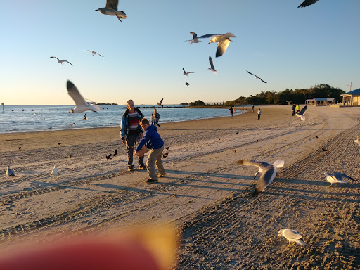 Auto Repair Shop «Auto Analyst & Repair By James», reviews and photos, 7755 W Homosassa Trail, Homosassa, FL 34448, USA