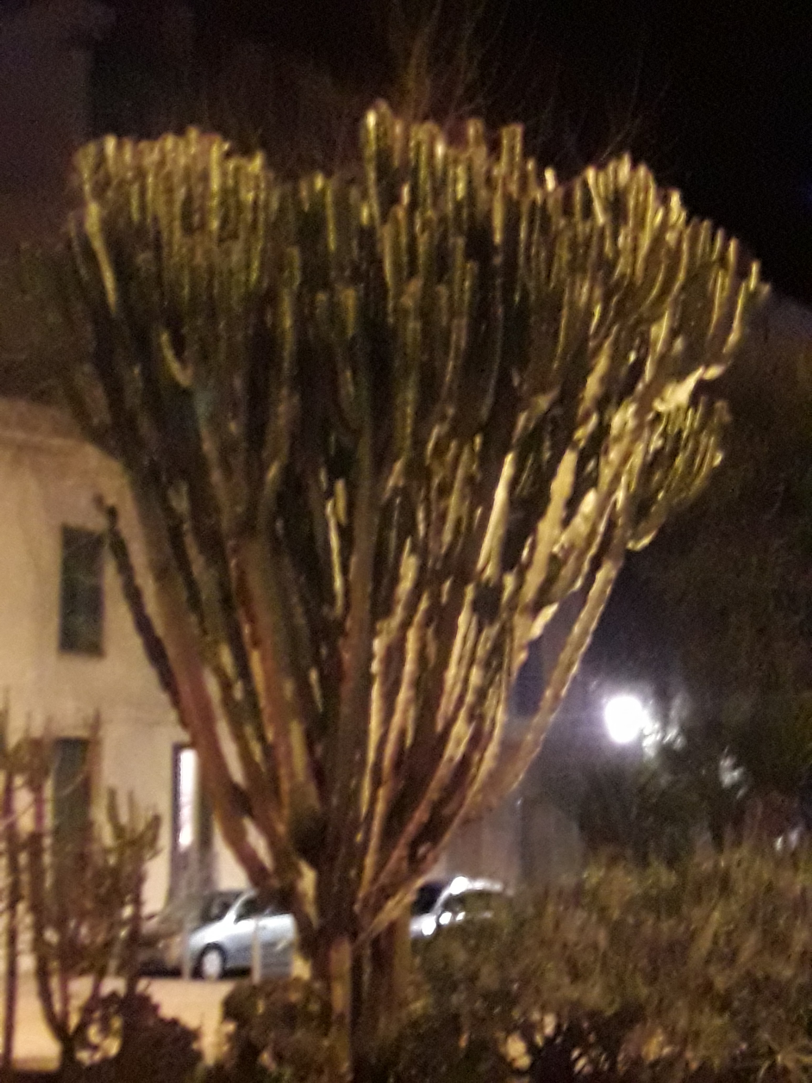 Photo n° 14 de l'avis de Stefe. fait le 25/02/2018 à 00:05