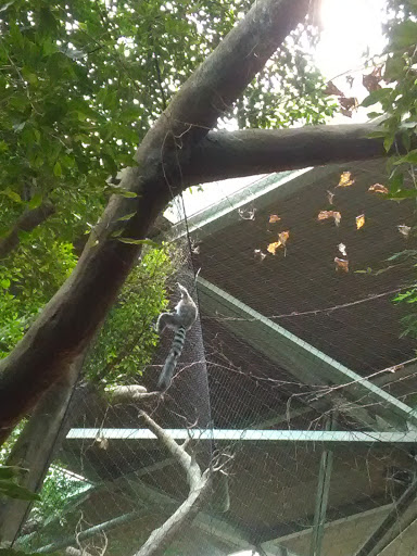 Gift Shop «Minnesota Zoo Gift Shop», reviews and photos, 13000 Zoo Blvd, Apple Valley, MN 55124, USA