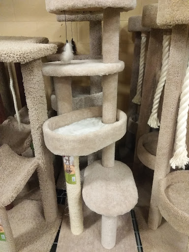 Pet Supply Store «PetSmart», reviews and photos, 2784 Wilma Rudolph Blvd, Clarksville, TN 37040, USA