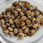 Photo n°2 de l'avis de Lara.a fait le 25/03/2019 à 22:32 sur le  Florbela à Olival Basto