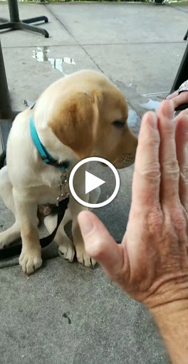 Bar «The Brass Tap», reviews and photos, 10700 FL-54, New Port Richey, FL 34655, USA