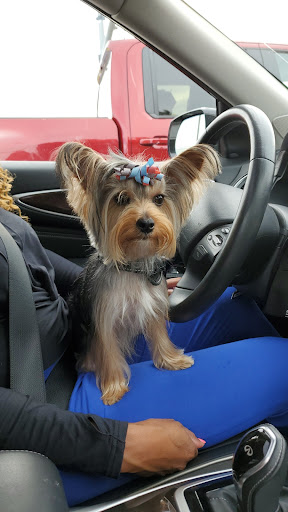 Pet Supply Store «PetSmart», reviews and photos, 2450 Osprey Way S, Frederick, MD 21701, USA