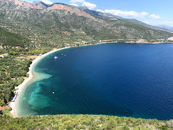 Zaritsi Beach'in fotoğrafı imkanlar alanı