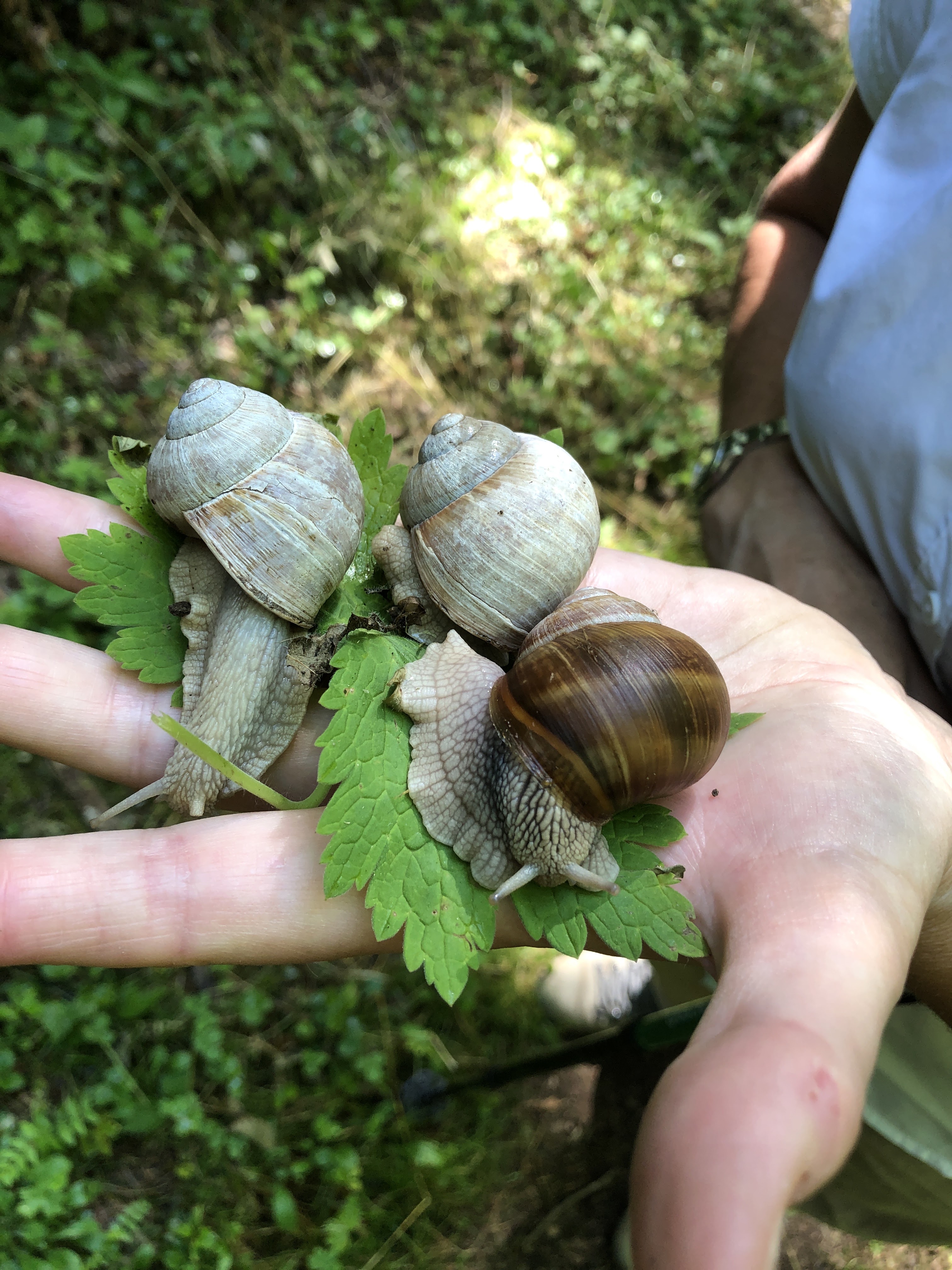 Photo n° 3 de l'avis de Didier.e fait le 26/06/2020 à 10:06