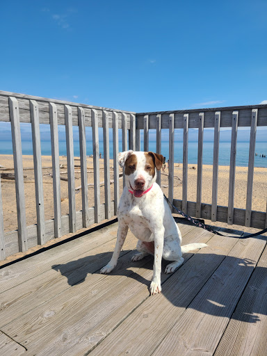 Maritime Museum «Great Lakes Shipwreck Museum», reviews and photos, 18335 N Whitefish Point Rd, Paradise, MI 49768, USA