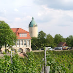 Photo n°3 de l'avis de M. fait le 26/07/2020 à 16:13 sur le  Berghotel Zum Edelacker à Freyburg