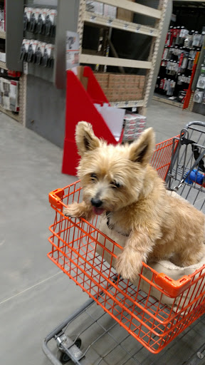 Home Improvement Store «The Home Depot», reviews and photos, 1932 Norwich-New London Turnpike, Uncasville, CT 06382, USA