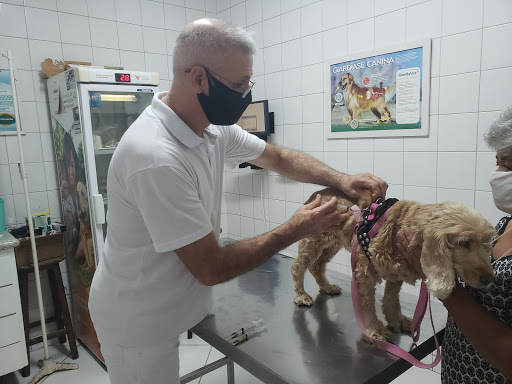 Rogervet Clínica Veterinária em Cajamar - SP