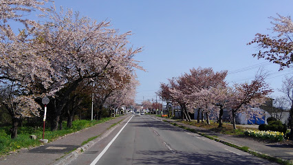 清川 千本桜