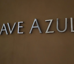 Agave Azul photo