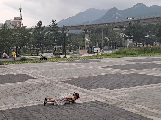 한국사진작가협회