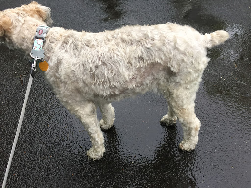 Pet Supply Store «Petsense Westfield», reviews and photos, 619 E Main St, Westfield, MA 01085, USA