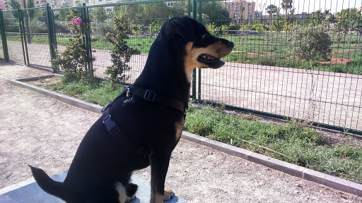 Clínica Veterinaria Ciudad de Las Ciencias en Valencia