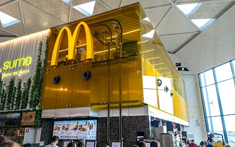 McDonald's Mascot (Not Airport) image