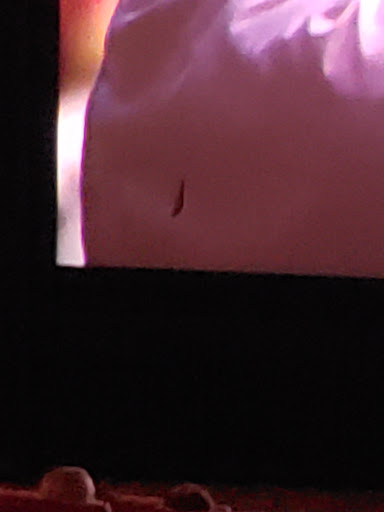 Movie Theater «Cobb Theatres», reviews and photos, 11701 Lake Victoria Gardens Ave #1201, Palm Beach Gardens, FL 33410, USA