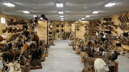 The Taxidermy Store