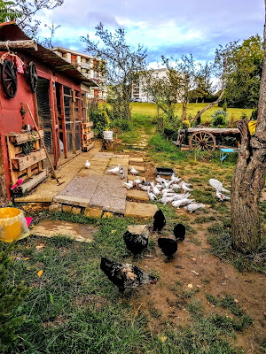 Centre Social AFTR à Rambervillers