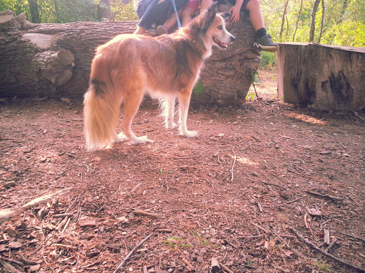 Botanical Garden «Beech Creek Botanical Garden & Nature Preserve», reviews and photos, 11929 Beech St NE, Alliance, OH 44601, USA