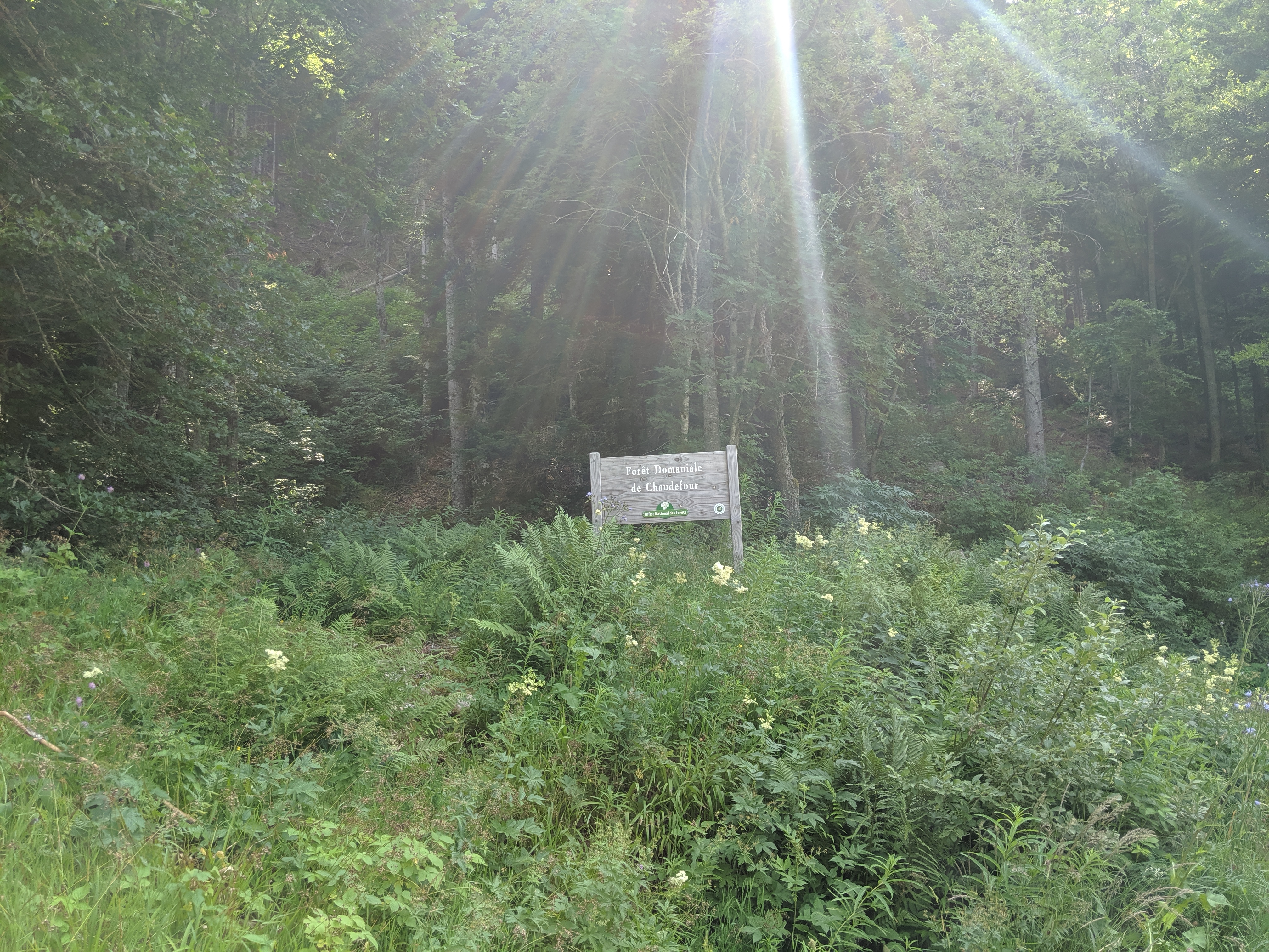 Photo n° 17 de l'avis de olivier.a fait le 02/08/2019 à 06:13