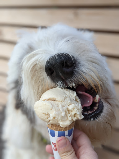 Dessert Shop «Ice Cream Renaissance», reviews and photos, 1925 Main St, Vancouver, WA 98660, USA