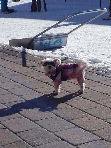 Snowboard Rental Service «Double Diamond Ski Shop», reviews and photos, 520 E Lionshead Cir, Vail, CO 81657, USA