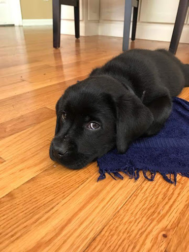 Contractor «Jim Hicks Home Improvement», reviews and photos, 1730 George Washington Memorial Hwy, Yorktown, VA 23693, USA