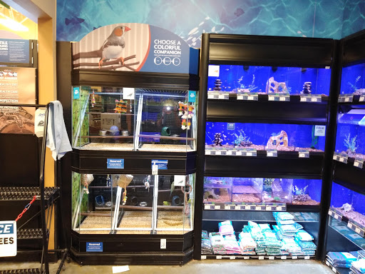 Pet Supply Store «PetSmart», reviews and photos, 601 Centerview Blvd, Kissimmee, FL 34741, USA