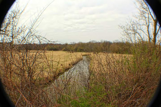 Nature Preserve «Meacham Forest Preserve», reviews and photos, Circle Ave, Bloomingdale, IL 60108, USA